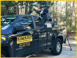 Welcome – Imperial Pest Controllers - Hilton Head Area Pest Control